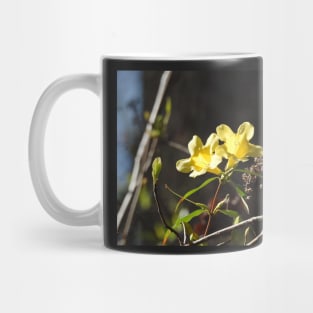 Yellow jessamine wildflowers, nature, gifts Mug